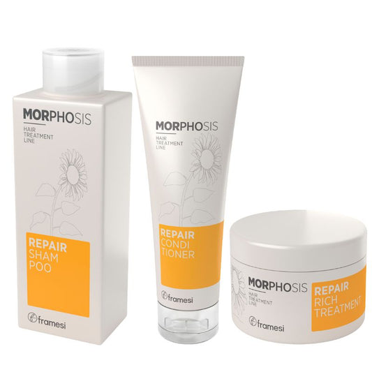 Trío Repair Morphosis